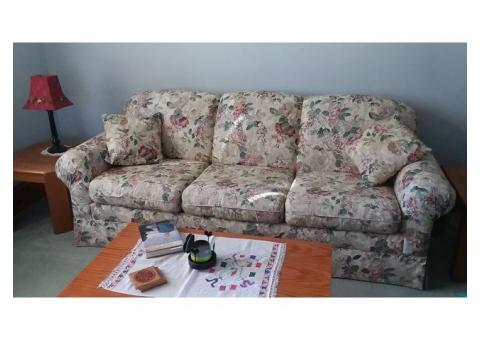 Flexsteel sofa